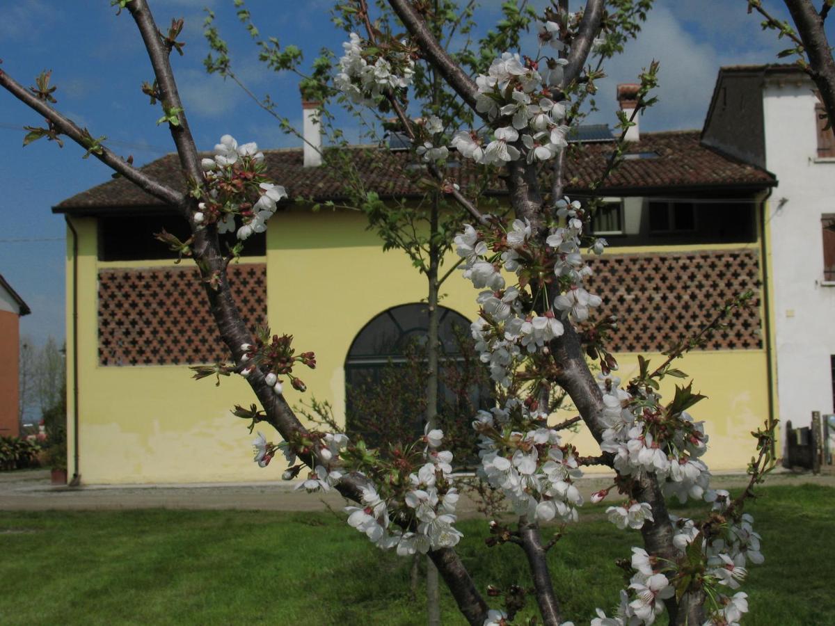 B&B Corte Cornalino Roverbella Luaran gambar